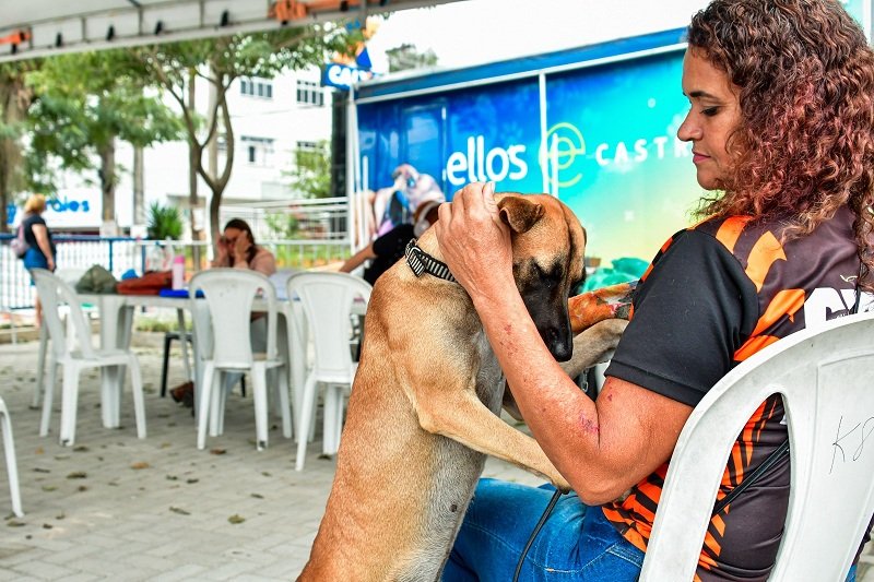 Castração gratuita de cães e gatos é ampliada em Itaboraí devido à grande procura