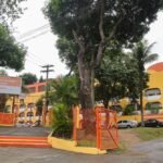 Escola Municipal Antineia Silveira Miranda - Foto Evelen Gouvêa
