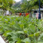 Foto-Divulgacao-6