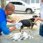 Itaboraí inicia vacinação antirrábica gratuita para cães e gatos (2)