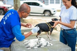 Itaboraí inicia vacinação antirrábica gratuita para cães e gatos (2)