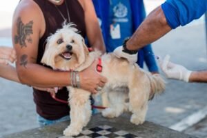 Itaboraí realiza 8ª semana da campanha de vacinação antirrábica em diferentes bairros